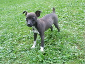 Enlarge photo 24