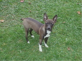 Enlarge photo 19