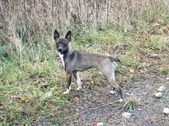 Enlarge photo 13