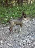 Enlarge photo 6