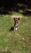 Enlarge photo 11