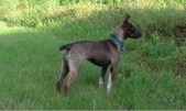 Enlarge photo 2