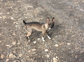 Enlarge photo 3
