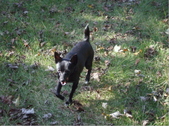 Enlarge photo 5