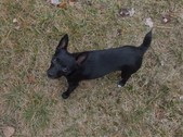 Enlarge photo 3