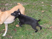 Enlarge photo 11