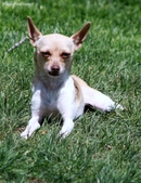 Enlarge photo 23
