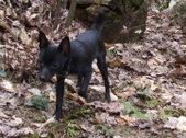 Enlarge photo 6