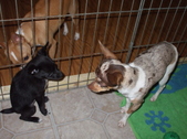 Enlarge photo 13