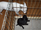 Enlarge photo 14