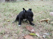Enlarge photo 15