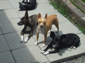 Enlarge photo 4