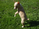 Enlarge photo 13