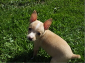 Enlarge photo 10
