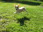 Enlarge photo 11