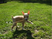 Enlarge photo 14