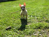 Enlarge photo 15