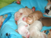 Enlarge photo 25