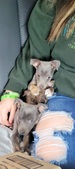 Enlarge photo 8