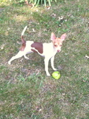 Enlarge photo 7