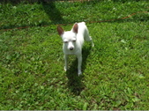 Enlarge photo 9