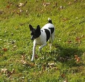 Enlarge photo 57