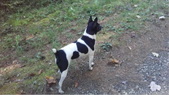 Enlarge photo 21