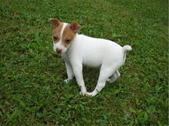 Enlarge photo 4