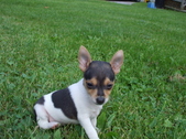 Enlarge photo 2