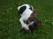 Enlarge photo 5