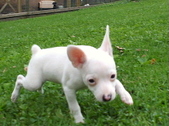 Enlarge photo 4