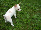Enlarge photo 2