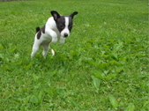 ARTEMIS NOW RETIRED