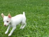 Enlarge photo 3
