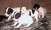 Enlarge photo 17