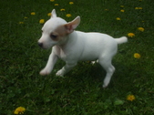 Enlarge photo 7