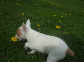Enlarge photo 8