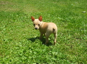 Enlarge photo 3