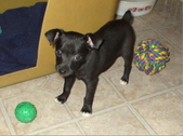 Enlarge photo 6