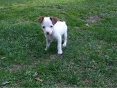 Enlarge photo 14