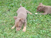 Enlarge photo 20