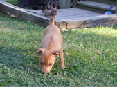 Enlarge photo 10