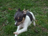 Enlarge photo 27