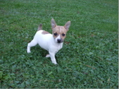 Enlarge photo 9