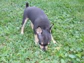 Enlarge photo 8