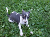 Enlarge photo 3