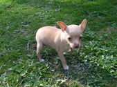 Enlarge photo 16