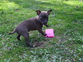 Enlarge photo 15