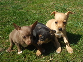 Enlarge photo 11