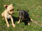Enlarge photo 12